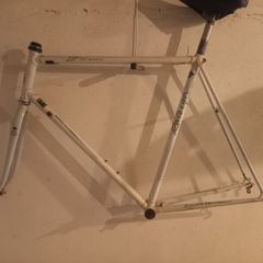 Raleigh Elan Reynolds 501