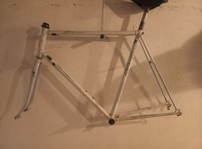 Raleigh Elan Reynolds 501