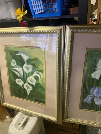 pair of large pictures