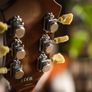 Fender acoustic guitar FA345ce Image 8