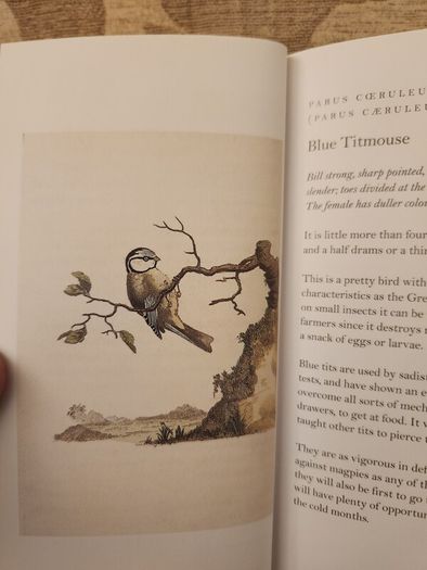 Graves Garden Birds. Selected British Garden  Birds. Beautiful Illustrated  Hardback In  Very Good Condition.