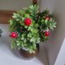 small cherry plant pot Image 3