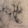 The drawings of Leonardo da Vinci by Popham Image 3