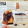 Dog nose balm Image 5