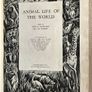 Animal Life of the World, illustrated Book Image 6