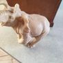 Elephant with Trunk Up Wealth Lucky Figurine Statue Sculpture Home Decor Image 4