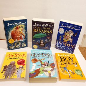 Bundle 6 David Walliams Bestselling Books