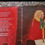 Story Book about an Irish Dancer Image 2