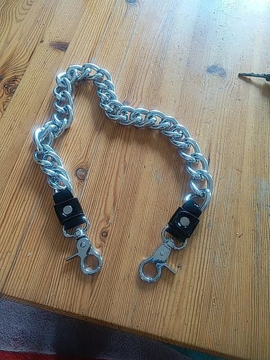 dog chain