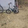 3 Bikes free to take away, all in one lot. Not separating Image 3