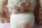 Lying down dog teddy with heart