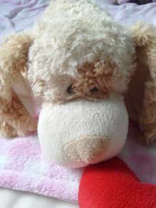 Lying down dog teddy with heart