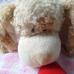 Lying down dog teddy with heart