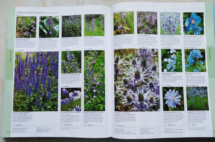 The Royal Horticultural Society New Encyclopedia of Plants and Flowers.