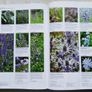 The Royal Horticultural Society New Encyclopedia of Plants and Flowers. Image 6