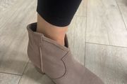 Ash Suede Ankle Boot