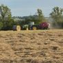 Hay round bales Image 4