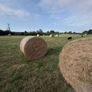 Round Hay Bales Image 2