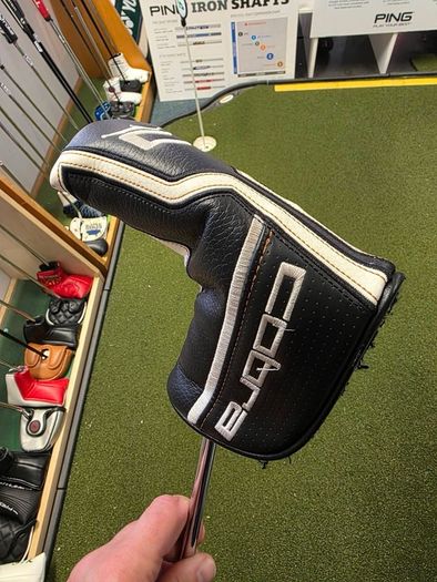 Cobra Grandsport 35 3D Printed Putter