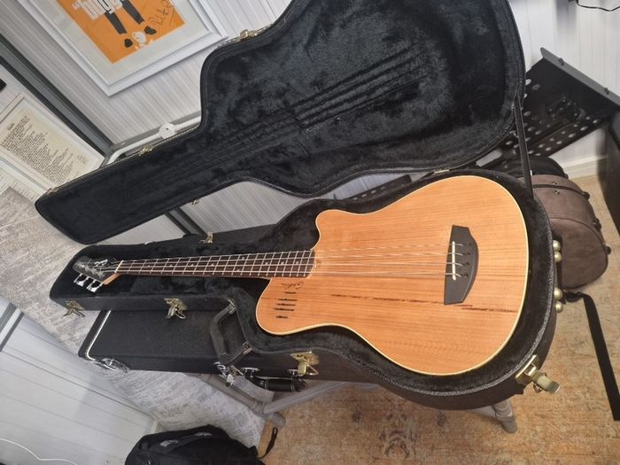Beautiful Godin A4 Vintage Bass