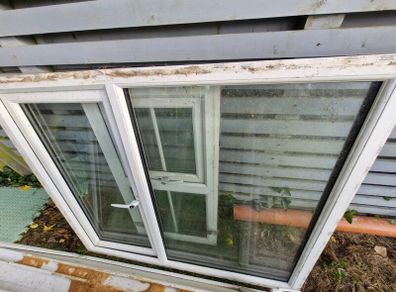 Windows