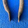 Antique fire tongs Image 3
