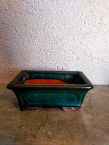 Small Bonsai Pot #5