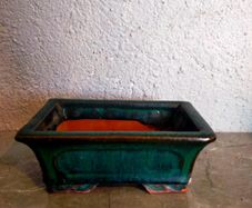 Small Bonsai Pot #5