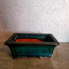 Small Bonsai Pot #5