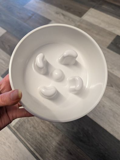 Small slow feeder dog bowl