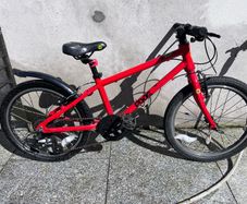 frog 55 bike
