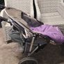 buggy Image 3