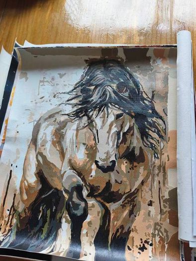 Canvas Paintings
