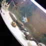 Juwel Vision Tank + Stand 260 Litres Image 5