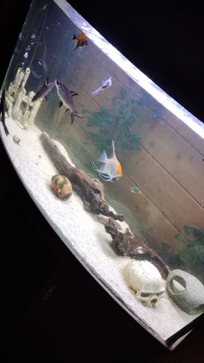 Juwel Vision Tank + Stand 260 Litres