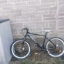 Carrera mountain bike Image 4