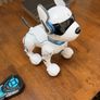 robo Dog Image 4