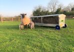 2 Hay/Meal Feeders