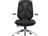 Maldini High Back Mesh Chair with headrest