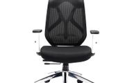 Maldini High Back Mesh Chair with headrest