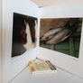 Ireland: The Living Landscape by Tom Kelly, Peter Somerville-Large, Seamus Heaney and Tim Pat Coogan (GT68) Image 7
