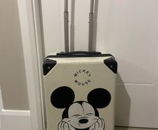 Cabin suitcase