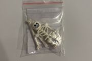 Lego Skeleton Pirates of The Caribbean