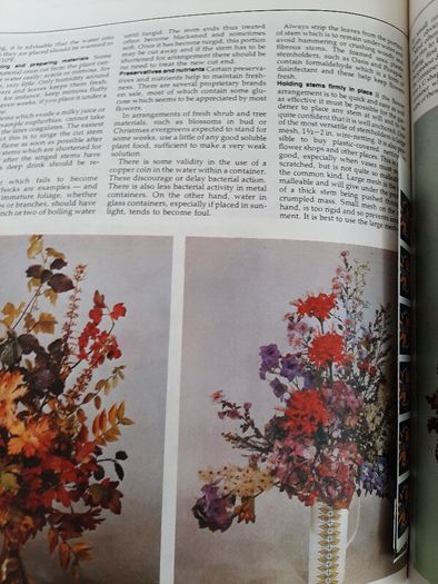 vintage new book flowers for everywhere 1974