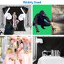 2.6m x 3m / 8.5ft x 10ft Background Support System and 800W 5500K Umbrellas Softbox Continuous Lighting Kit for Photo Studio Product,Portrait and Video Shoot Photography (FREE POSTAGE) Image 6