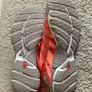 NEW North Face Litewave Ampere Runners CORAL women UK7 Image 4