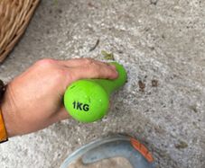 1kg weight