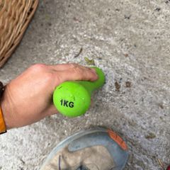 1kg weight