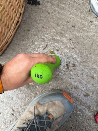 1kg weight