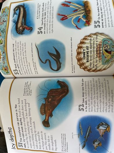 Miles Kelly Fact Books x5
